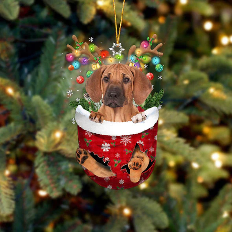 Rhodesian Ridgeback In Sneeuw Zak Ornament