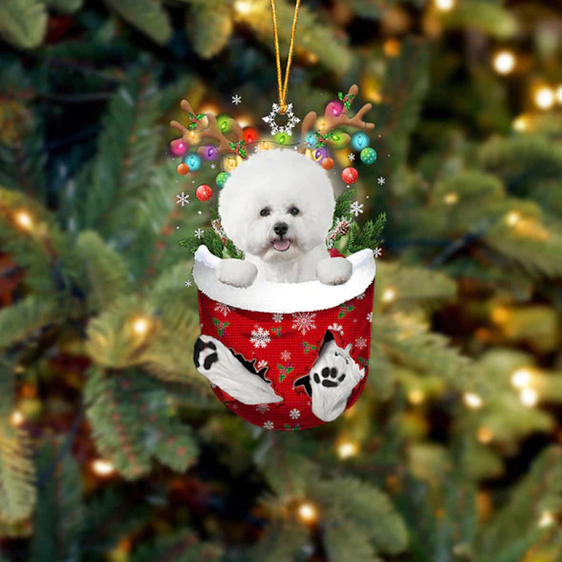 Bichon Frise In Sneeuw Zak Ornament