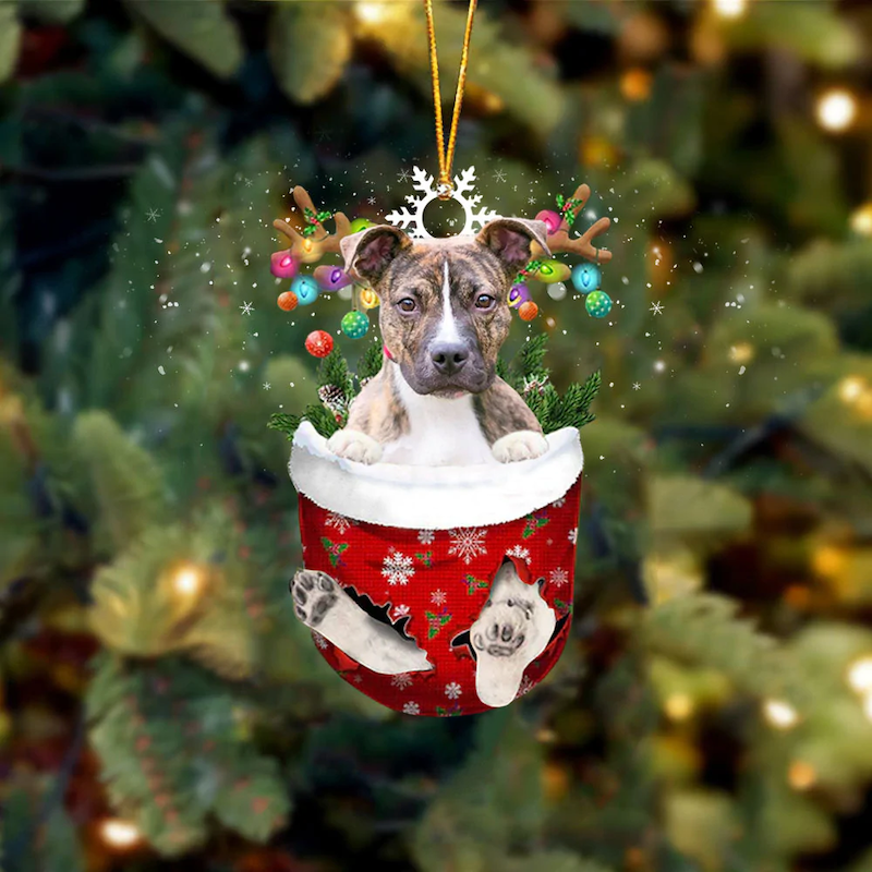 Brindle Pitbull In Sneeuw Zak Ornament