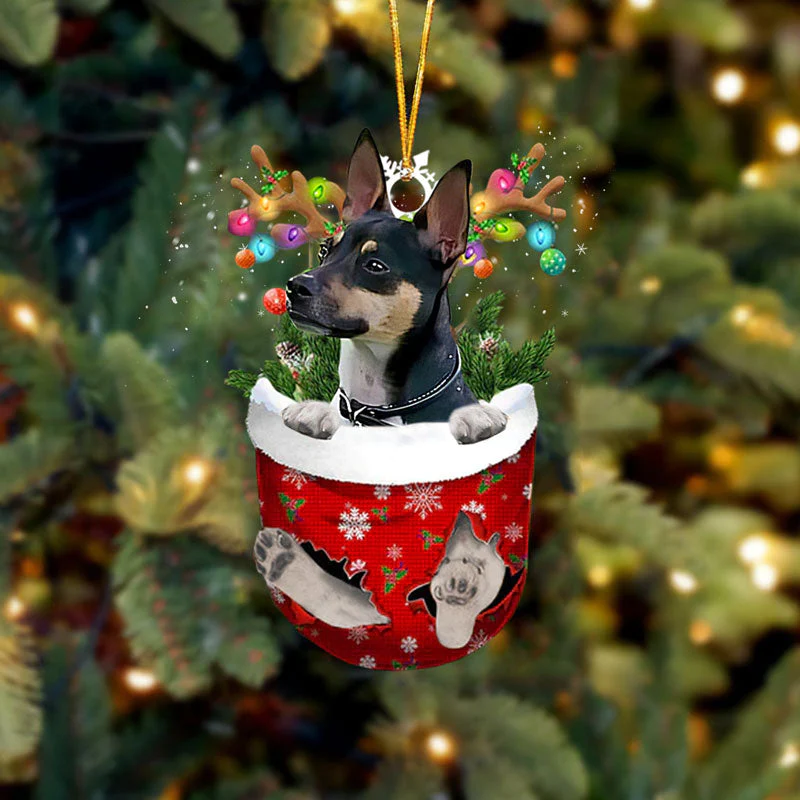 Rat Terrier In Sneeuw Zak Ornament