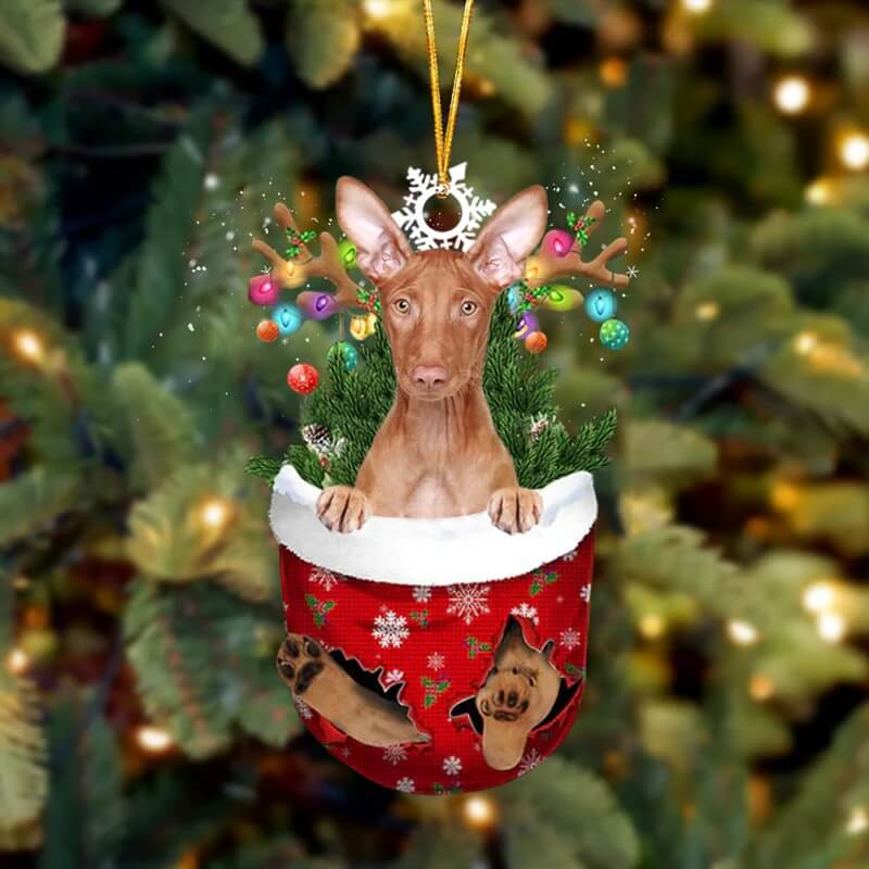 Pharaoh Hound In Sneeuw Zak Ornament