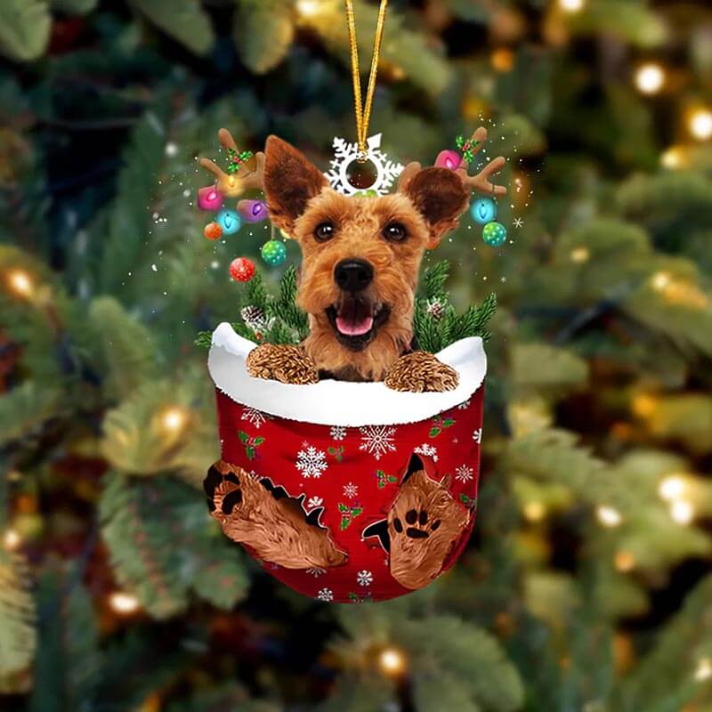 Welsh Terrier In Sneeuw Zak Ornament