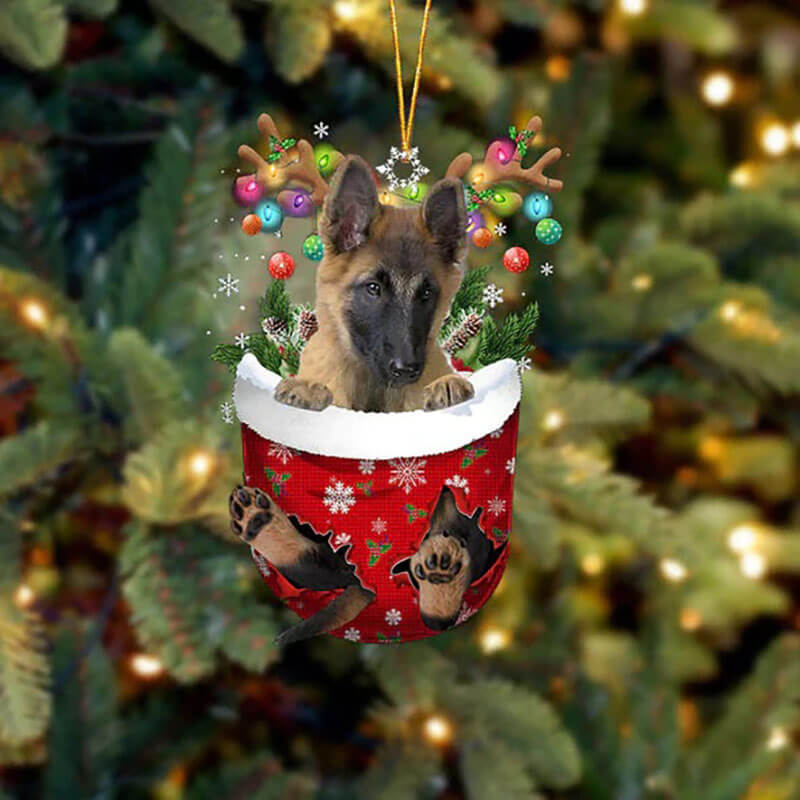 Belgian Tervuren In Sneeuw Zak Ornament