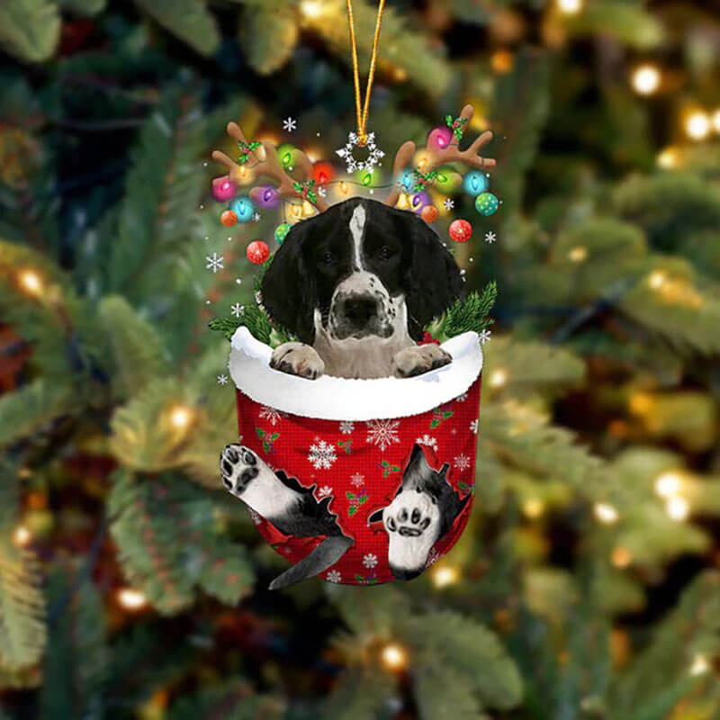 English ringer Spaniel In Sneeuw Zak Ornament