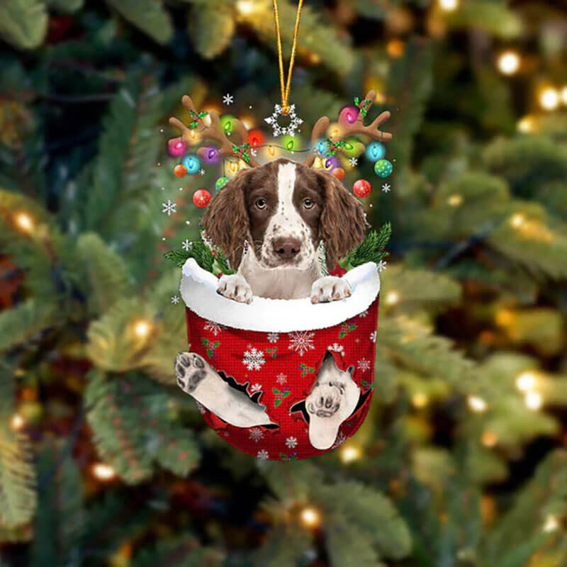 English ringer Spaniel In Sneeuw Zak Ornament