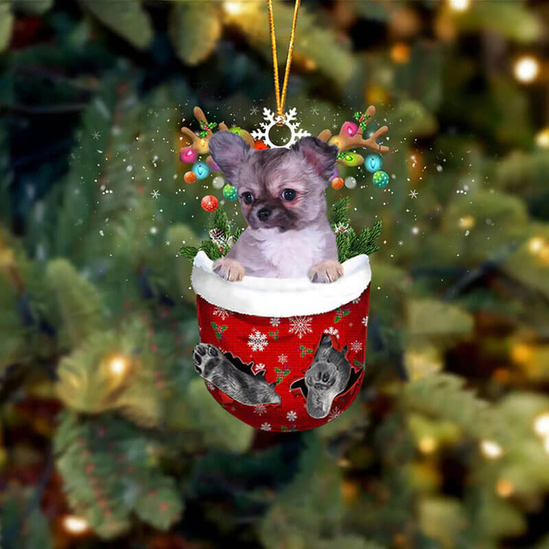 Chihuahua In Sneeuw Zak Ornament