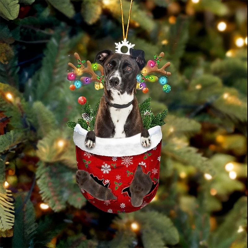 Mountain Cur In Sneeuw Zak Ornament