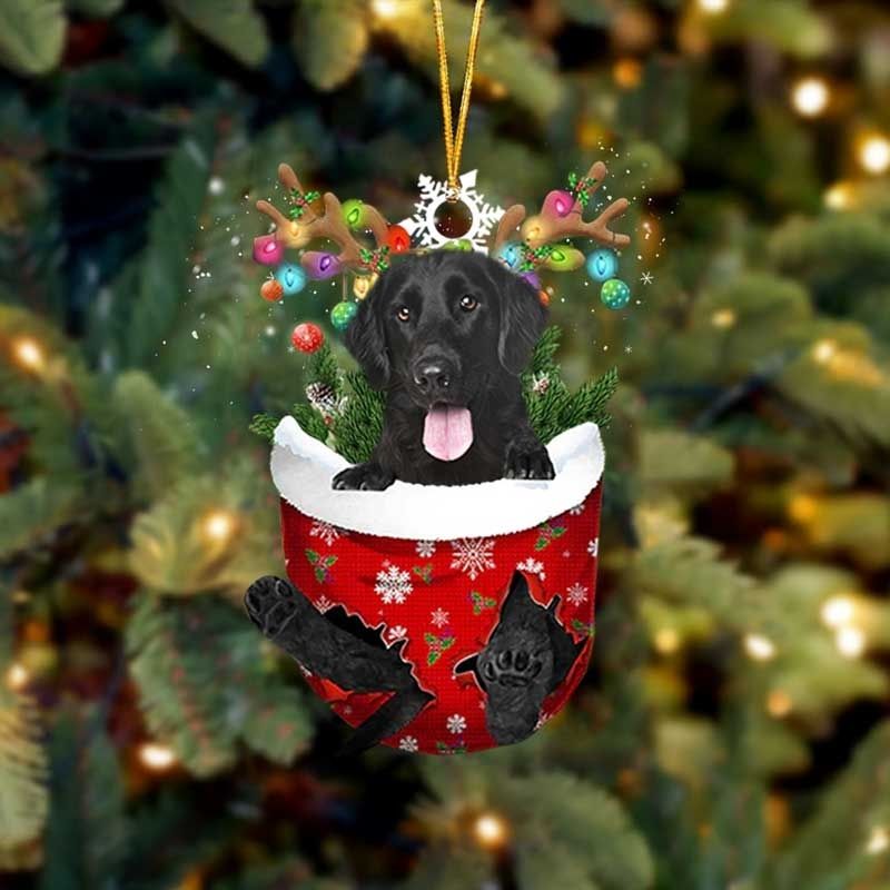 Flat Coated Retriever In Sneeuw Zak Ornament