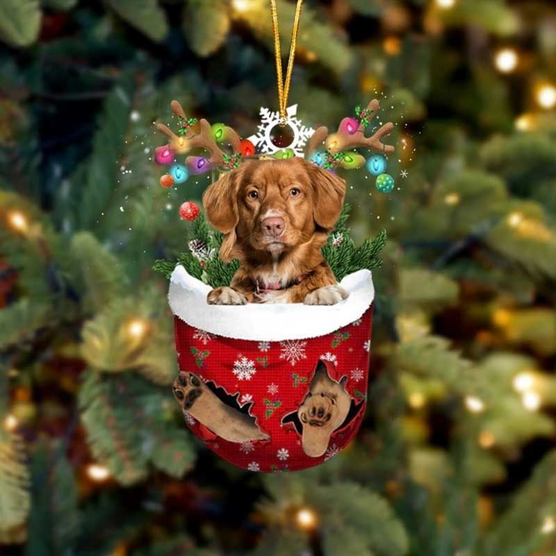 Nova Scotia Duck Toller In Sneeuw Zak Ornament