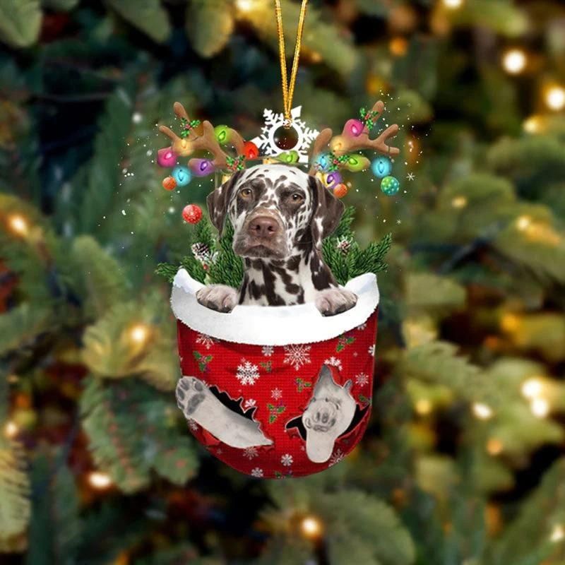 Brown Dalmatian In Sneeuw Zak Ornament