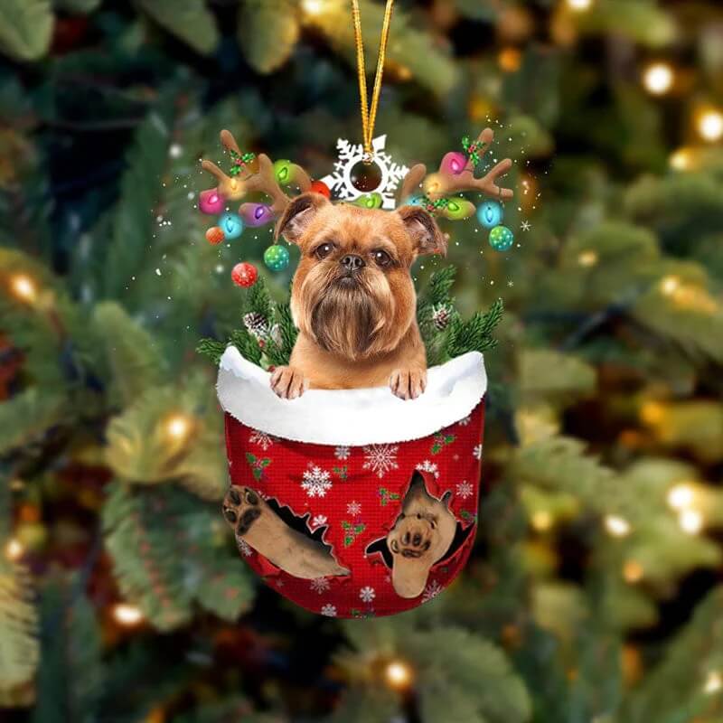 Brussels Griffon In Sneeuw Zak Ornament