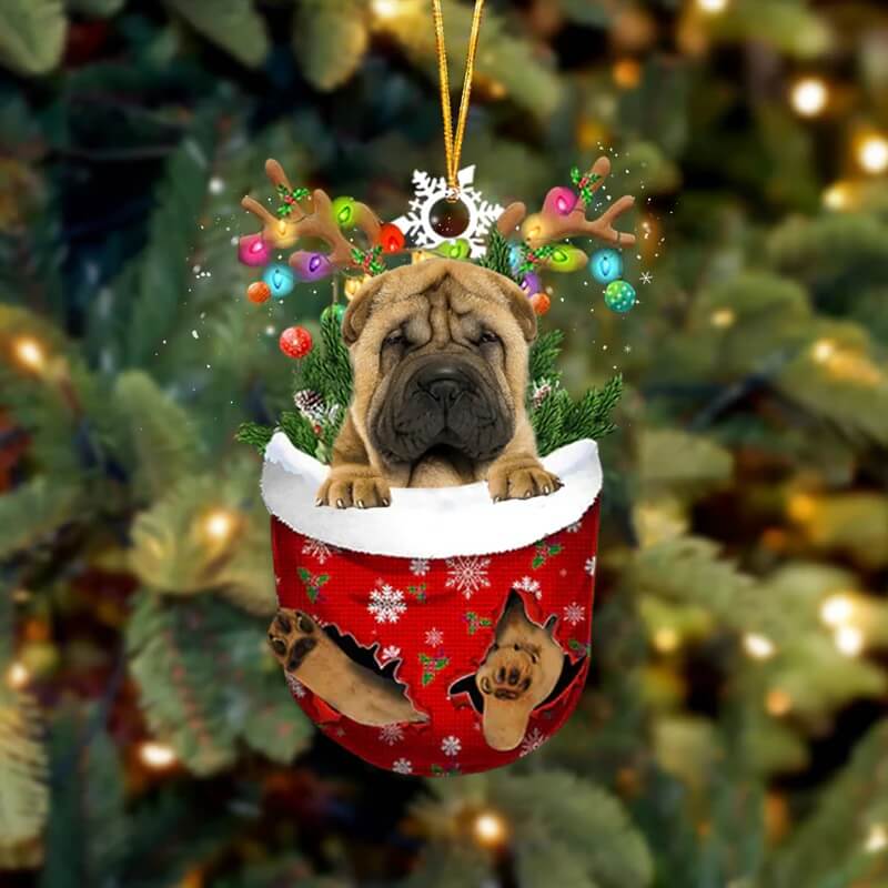 Shar Pei In Sneeuw Zak Ornament