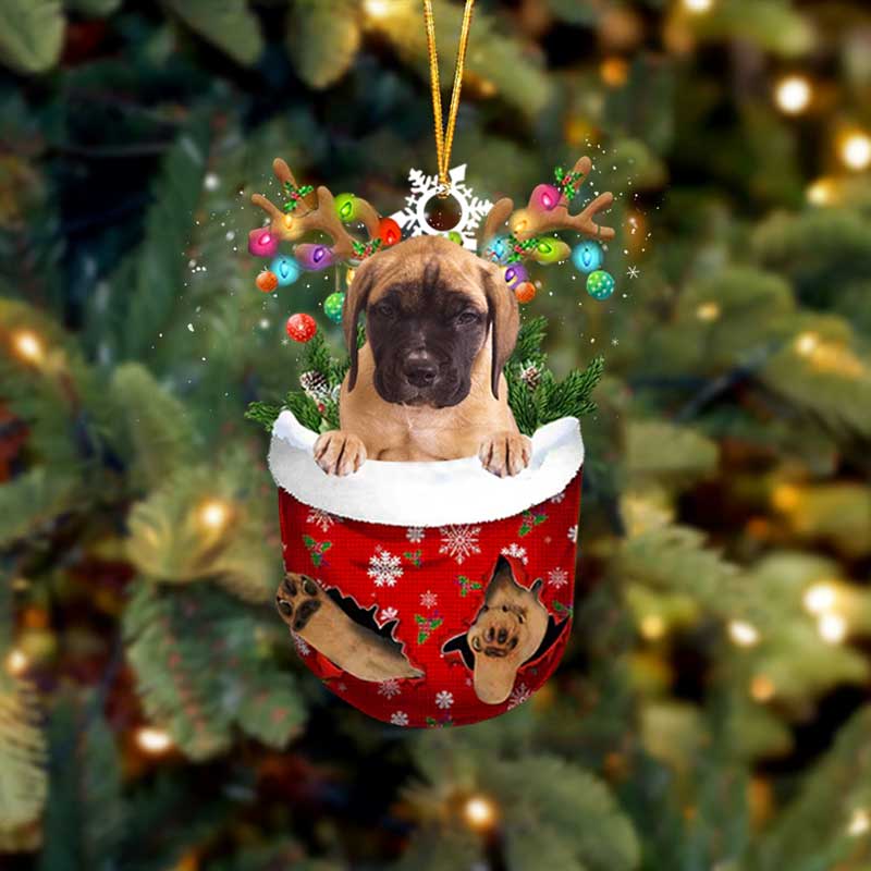 Mastiff In Sneeuw Zak Ornament