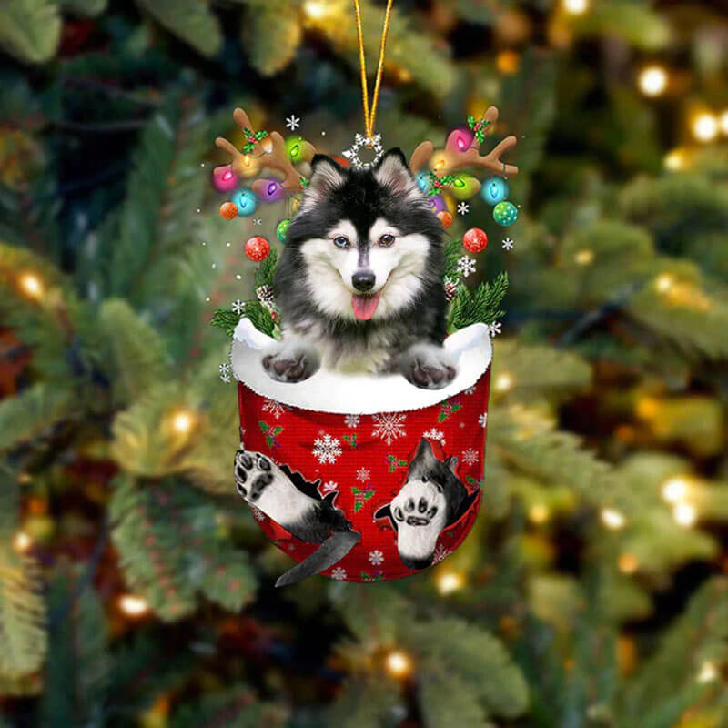 Alaskan Klee Kai In Sneeuw Zak Ornament