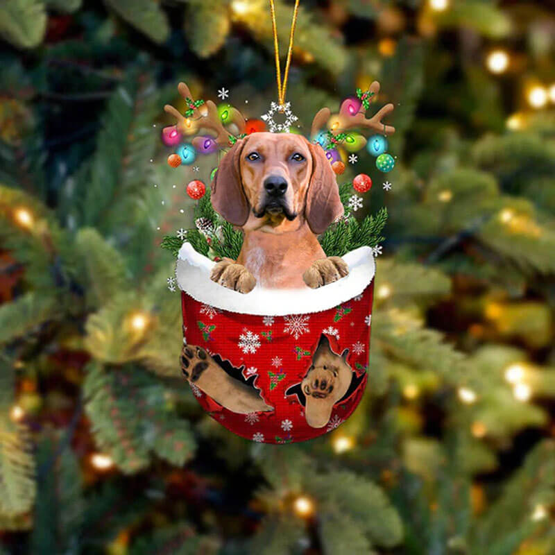 Redbone Coonhound In Sneeuw Zak Ornament