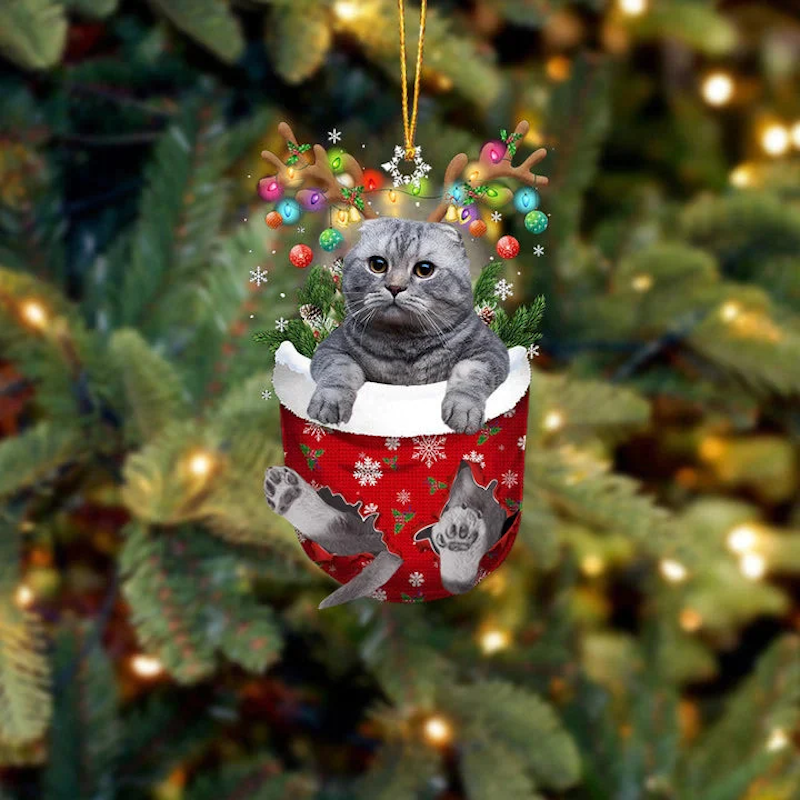 Scottish Fold Kat In Sneeuw Zak Ornament