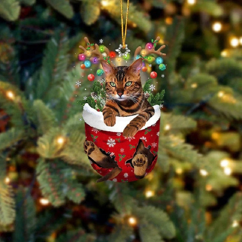 Tiger Kat In Sneeuw Zak Ornament