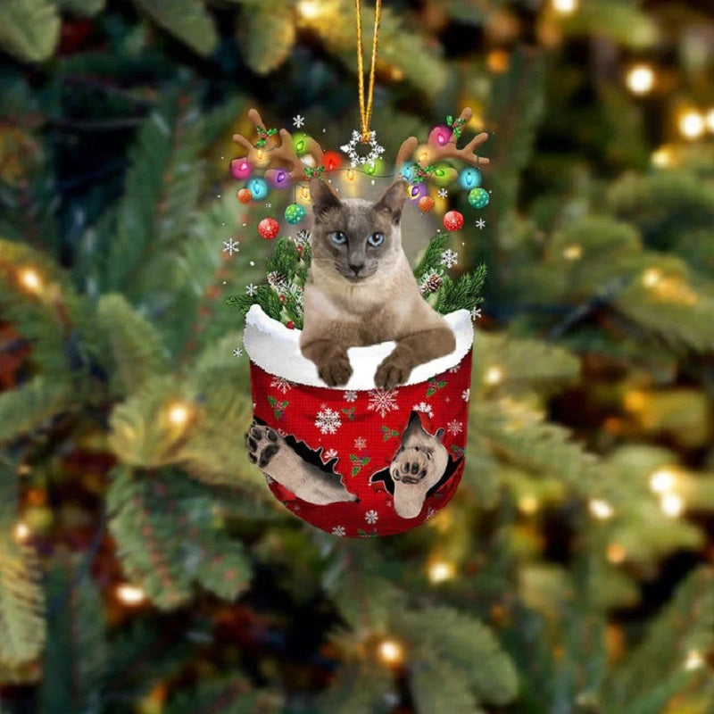 Tonkinese Kat In Sneeuw Zak Ornament