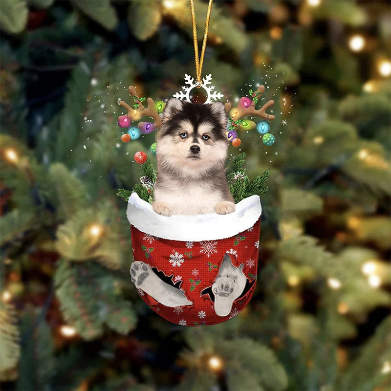 Pomsky In Sneeuw Zak Ornament