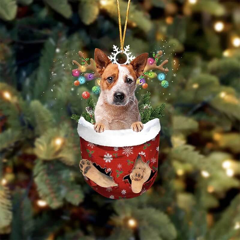 Red Heeler In Sneeuw Zak Ornament