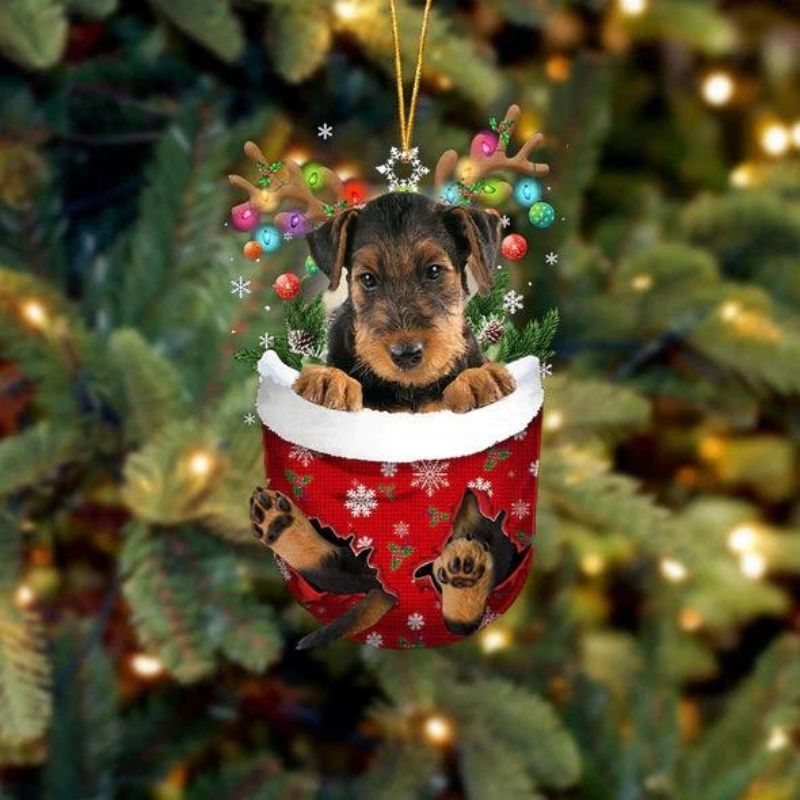 Airedale Terrier In Sneeuw Zak Ornament