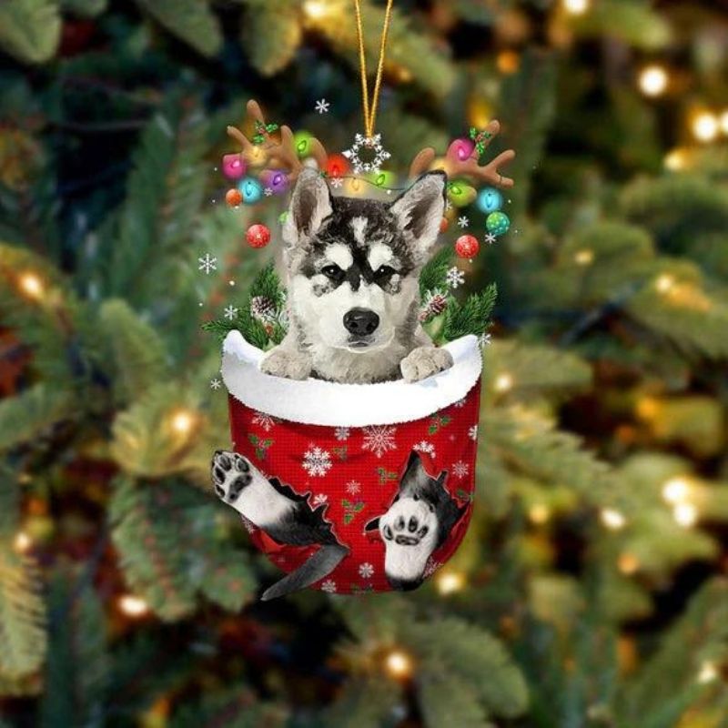 Alaskan Malamutes In Sneeuw Zak Ornament