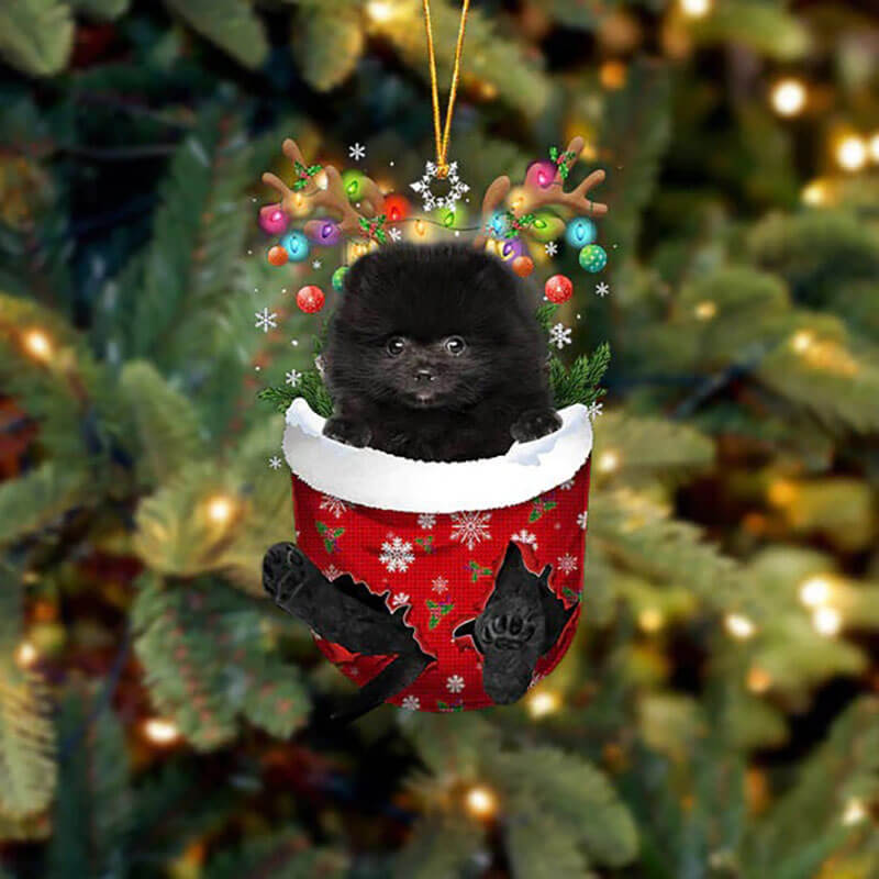 Pomeranian In Sneeuw Zak Ornament