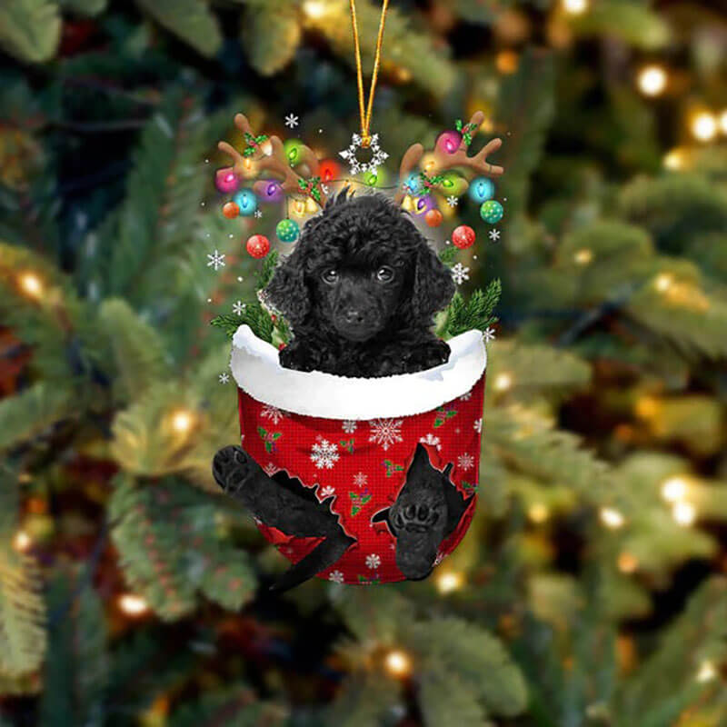 Toy Poodle In Sneeuw Zak Ornament