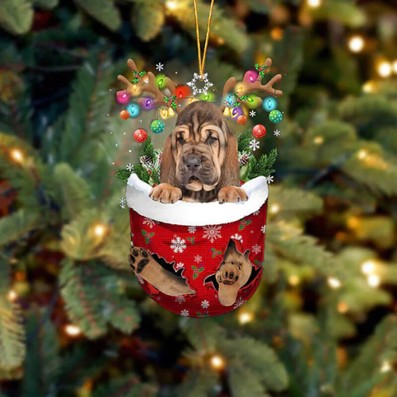 Bloodhound In Sneeuw Zak Ornament