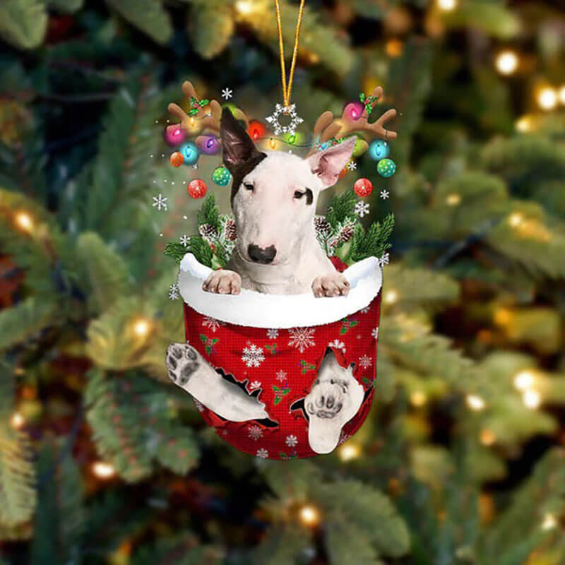 Bull Terrier In Sneeuw Zak Ornament