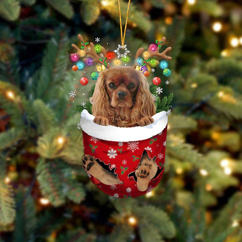 Cavalier King Charles Spaniel In Sneeuw Zak Ornament