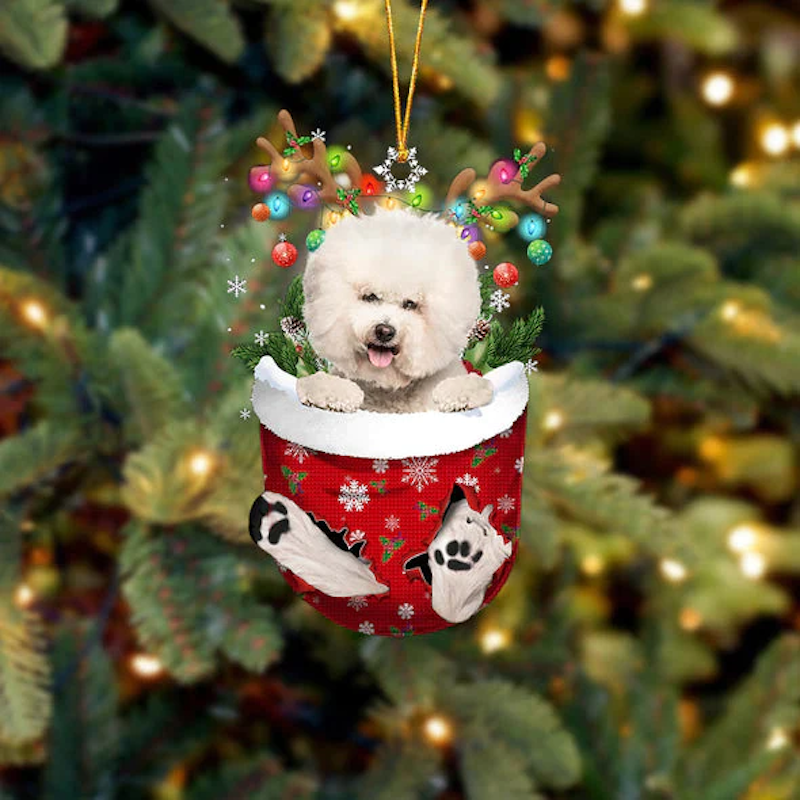 Bichon Frise In Sneeuw Zak Ornament