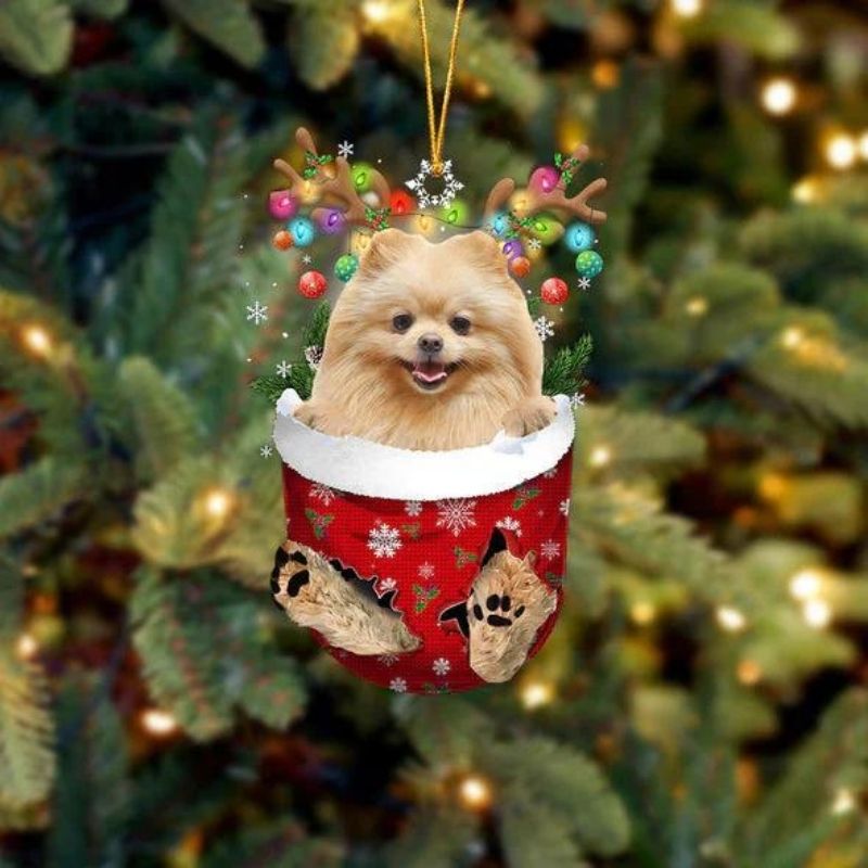 Pomeranian In Sneeuw Zak Ornament