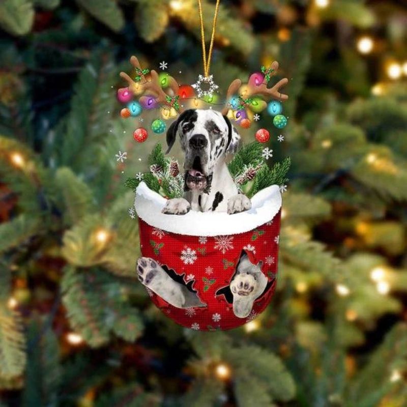 Great Dane In Sneeuw Zak Ornament