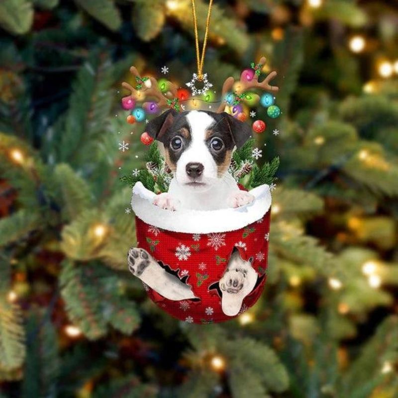 Jack Russell Terrier In Sneeuw Zak Ornament