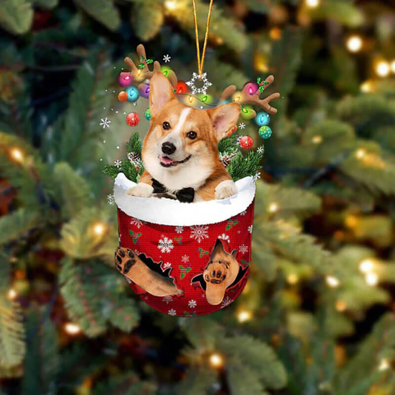 Pembroke Welsh Corgi In Sneeuw Zak Ornament