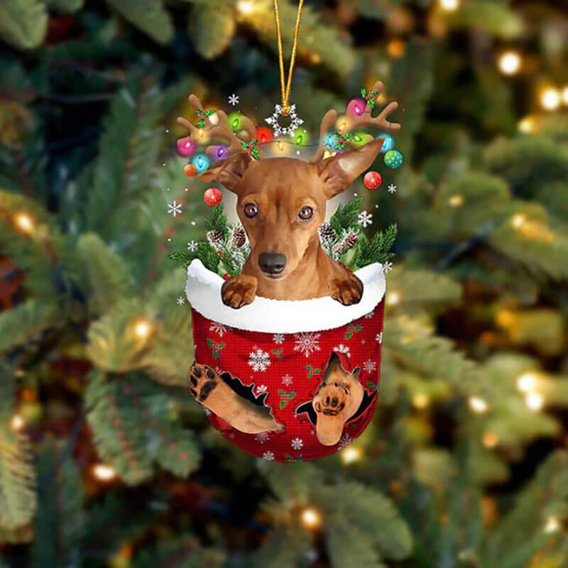 Miniature Pinscher In Sneeuw Zak Ornament