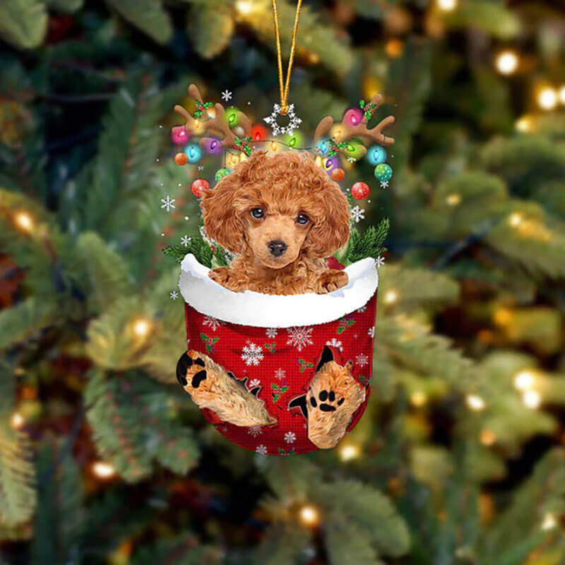 Toy Poodle In Sneeuw Zak Ornament