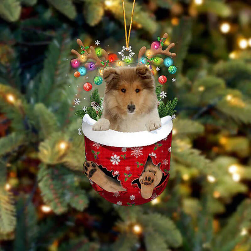 Rough Collie In Sneeuw Zak Ornament