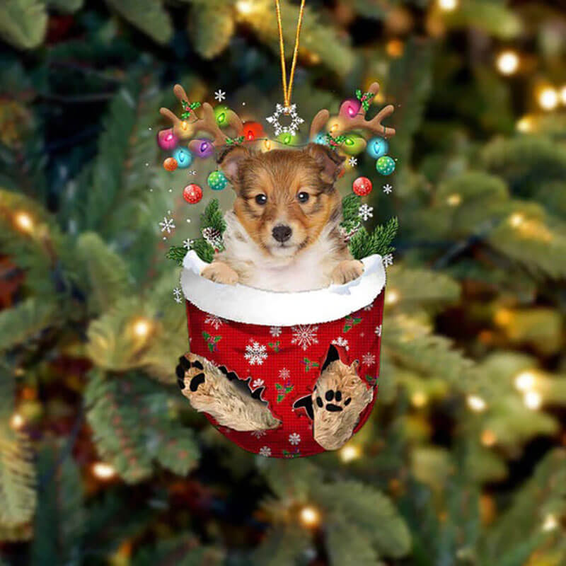 Shetland Sheepdog In Sneeuw Zak Ornament