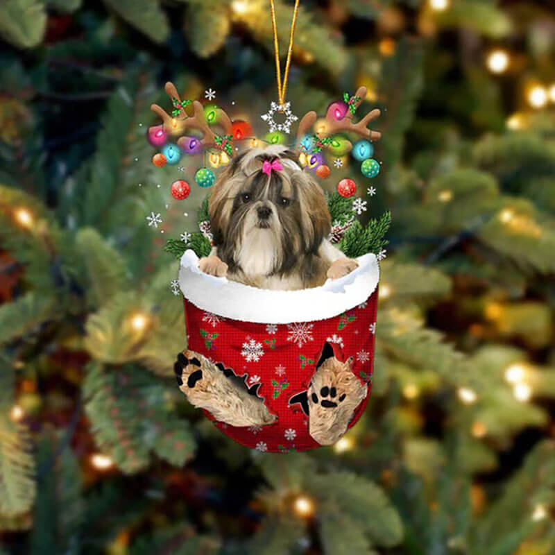 Shih Tzu In Sneeuw Zak Ornament