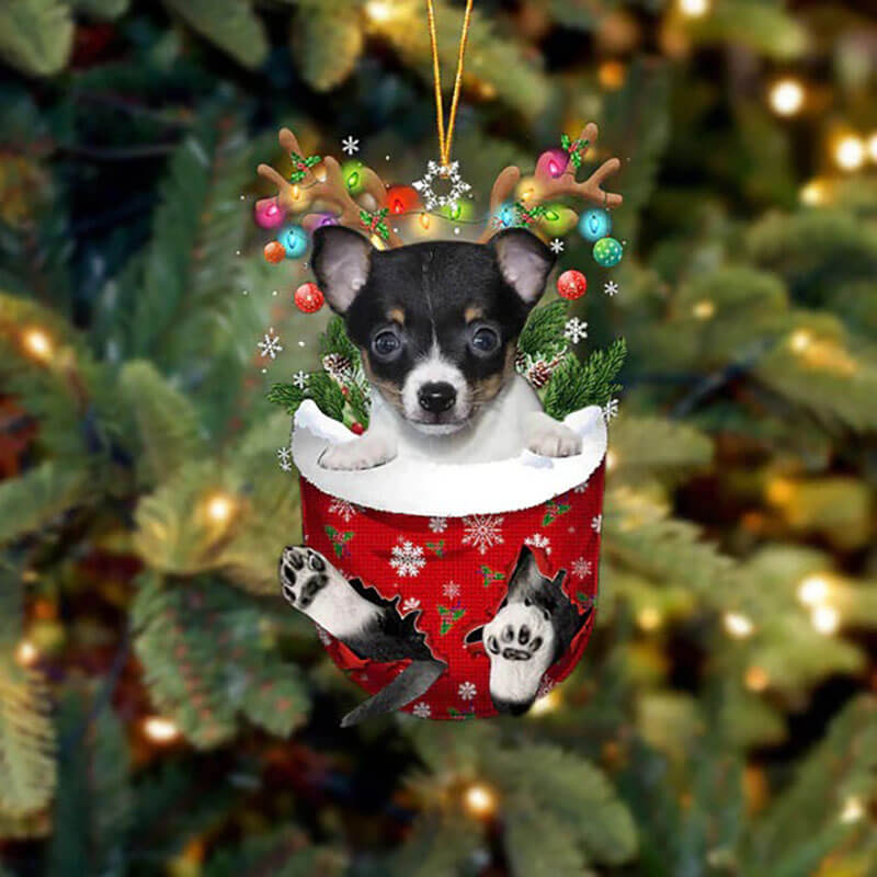 Toy Fox Terrier In Sneeuw Zak Ornament