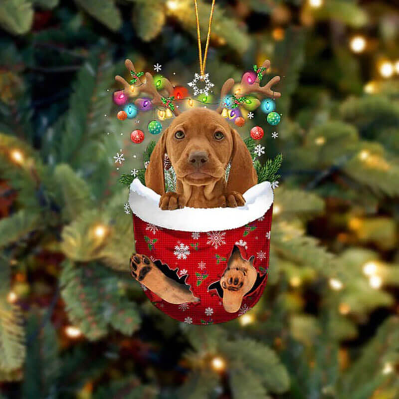 Vizsla In Sneeuw Zak Ornament