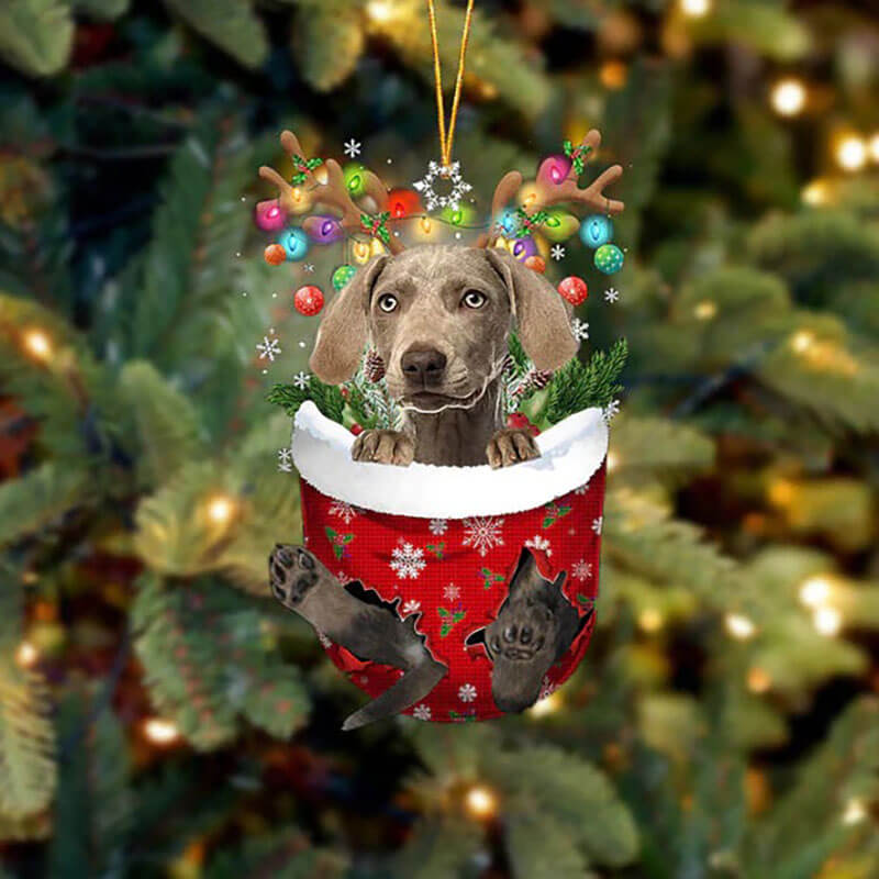 Weimaraner In Sneeuw Zak Ornament