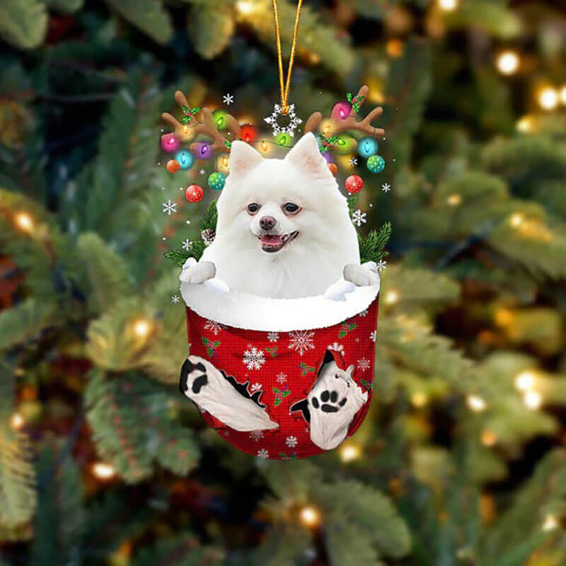 Pomeranian In Sneeuw Zak Ornament