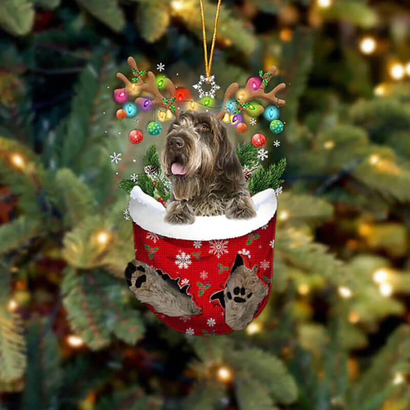 Wirehaired Pointing Griffon In Sneeuw Zak Ornament