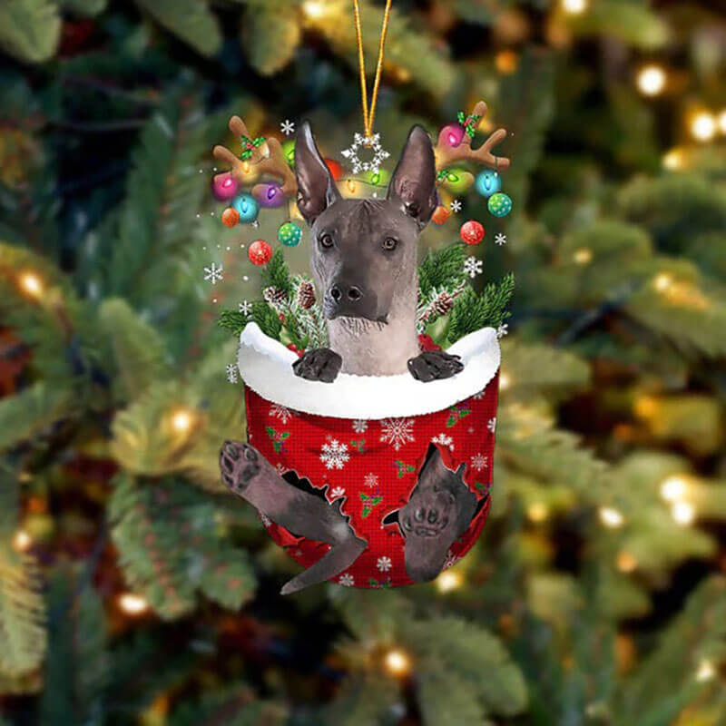 Xoloitzcuintli In Sneeuw Zak Ornament