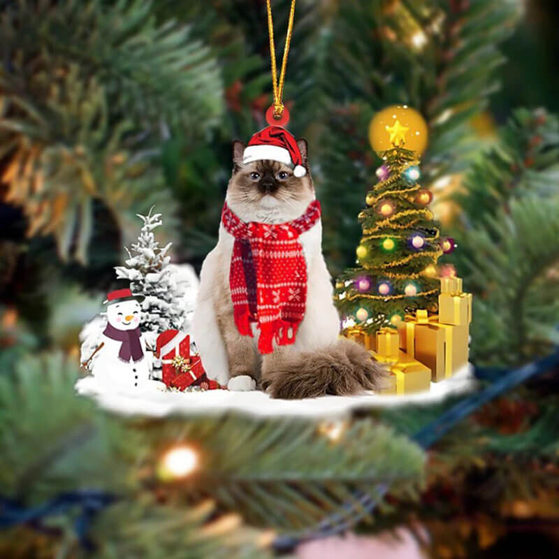 Ragdoll Kat Sneeuwpop Kerst Ornament