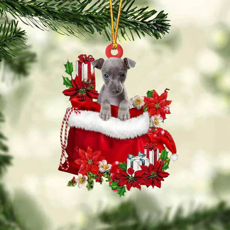 Italian Greyhound In Cadeauzakje Kerstornament