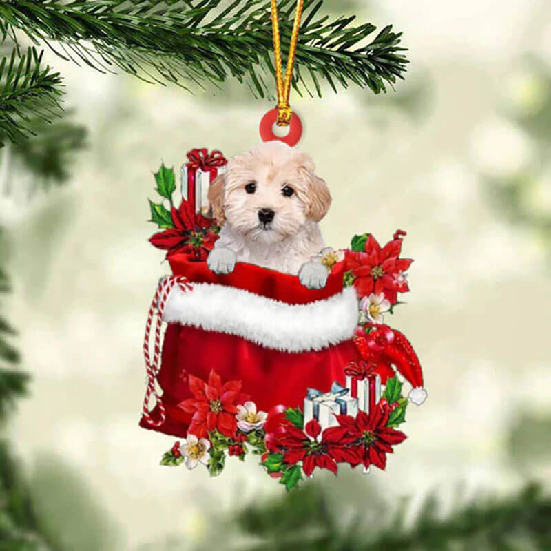 Maltipoo In Cadeauzakje Kerstornament